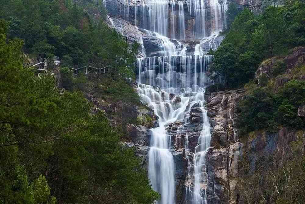 微信图片_20200411105049.jpg