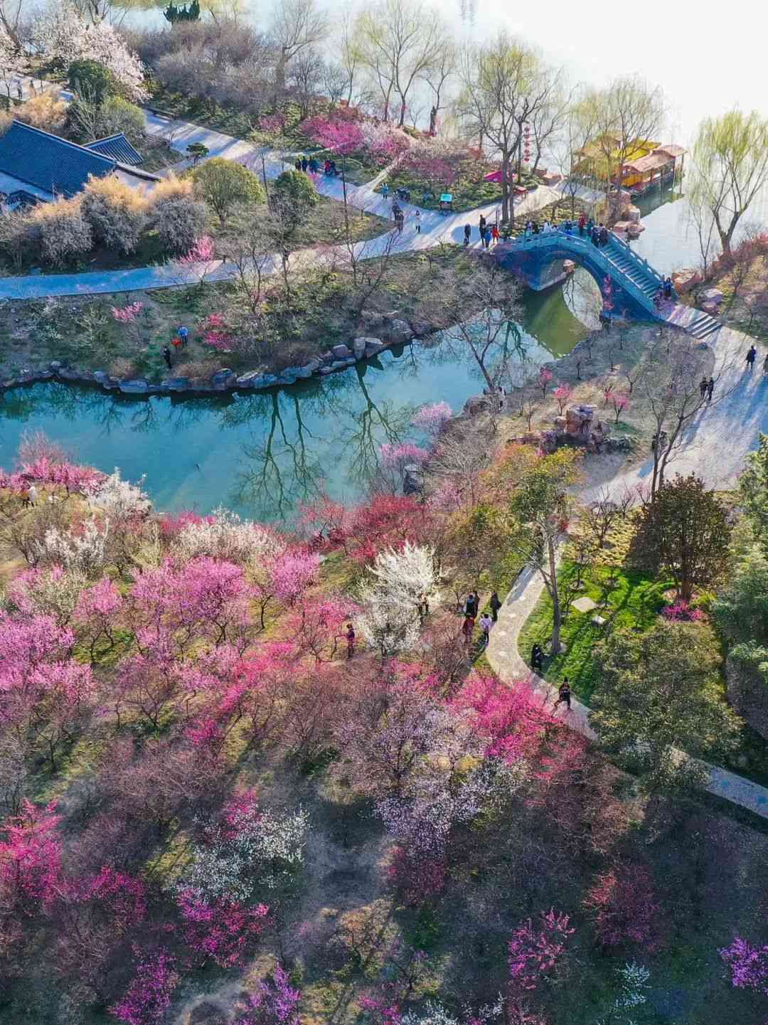 瘦西湖梅林刘江瑞摄 (12).jpg