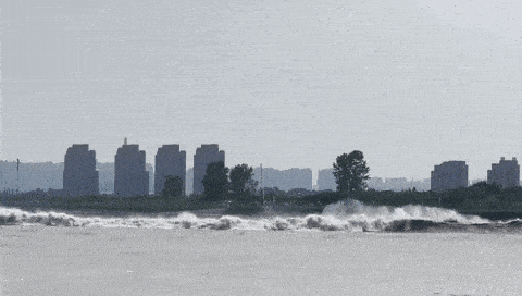 22.gif