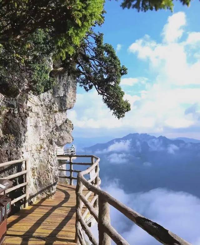 爱游宝|图文编辑更简单