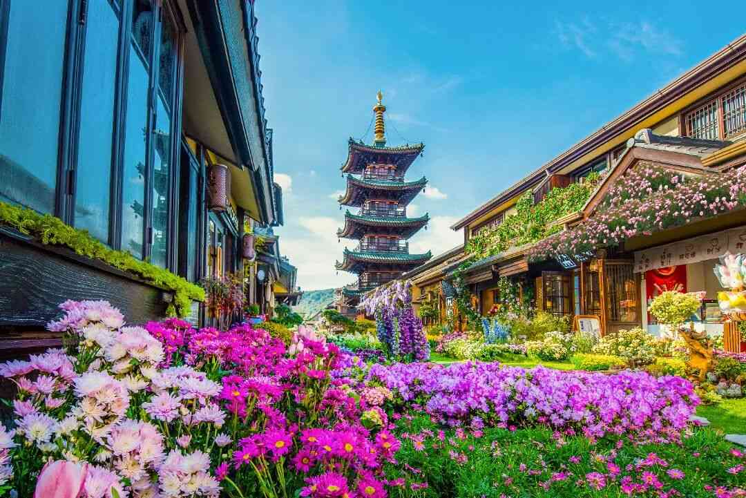 主KV照片(1).jpg