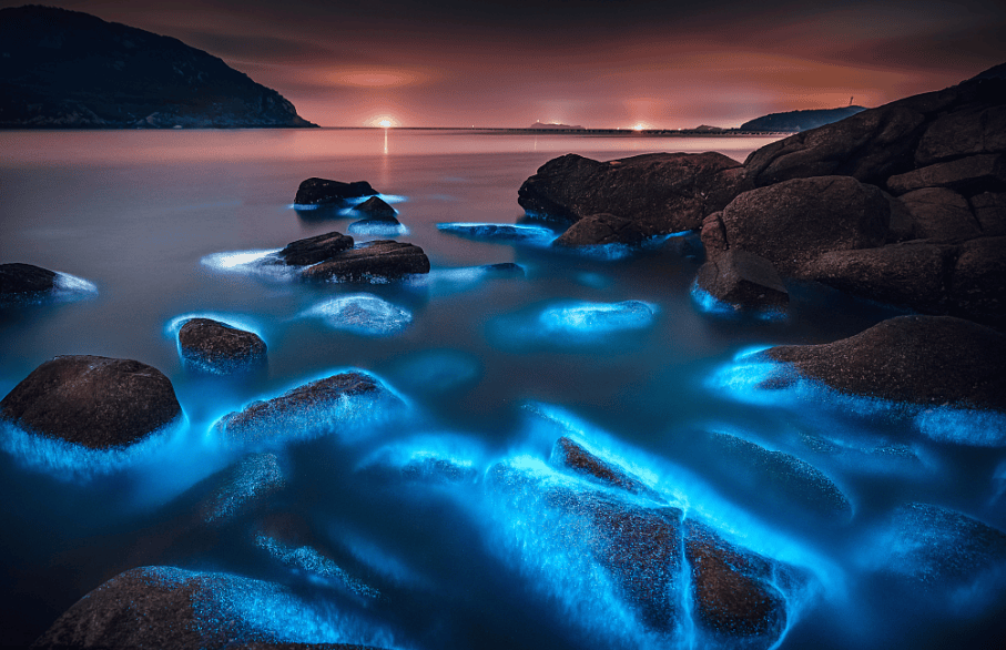 【偶遇蓝眼泪】平潭岛.霞浦滩涂.太姥山.花竹日出.福州.