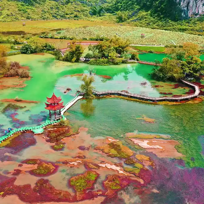 一次旅行顶三次【十分广西·纯玩0购物】桂林进,南宁出,游遍整个广西。一次鱼与熊掌兼得的深度体验。