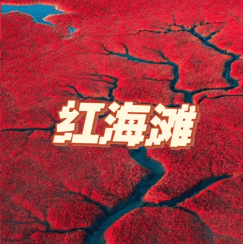 2026年【真纯玩】盘锦红海滩+北戴河+承德+坝上草原双卧10天精品团