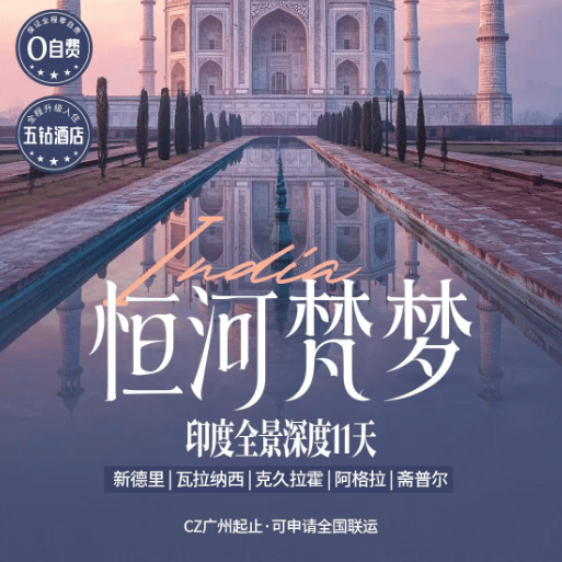 🇮🇳印度全景深度 11 天