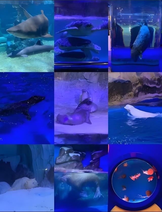 爱游宝|图文编辑更简单