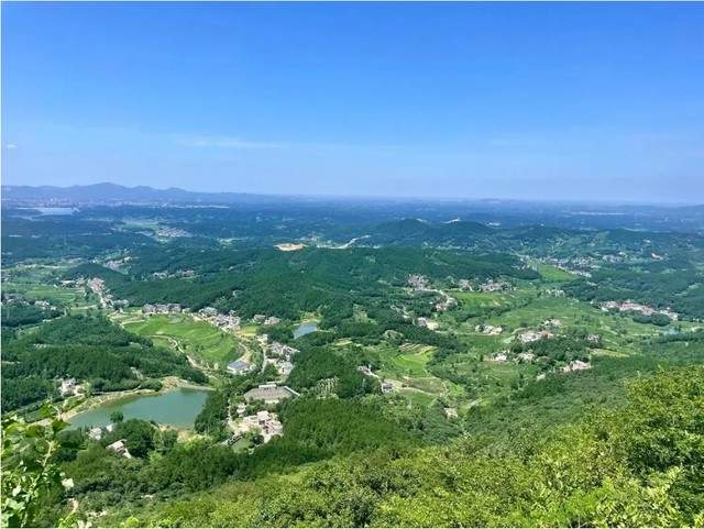 爱游宝|图文编辑更简单