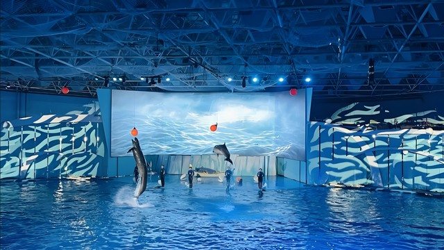 爱游宝|图文编辑更简单