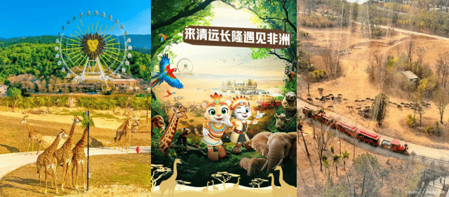 爱游宝|图文编辑更简单