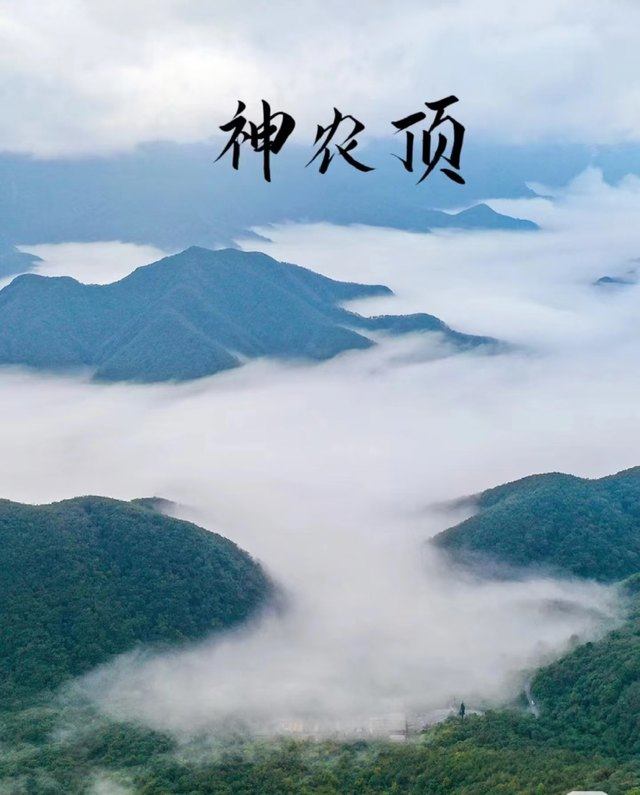 爱游宝|图文编辑更简单
