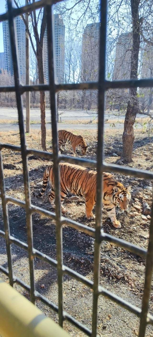 爱游宝|图文编辑更简单