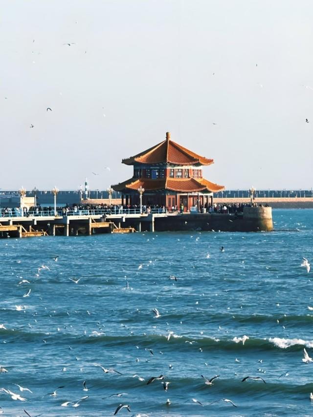 爱游宝|图文编辑更简单