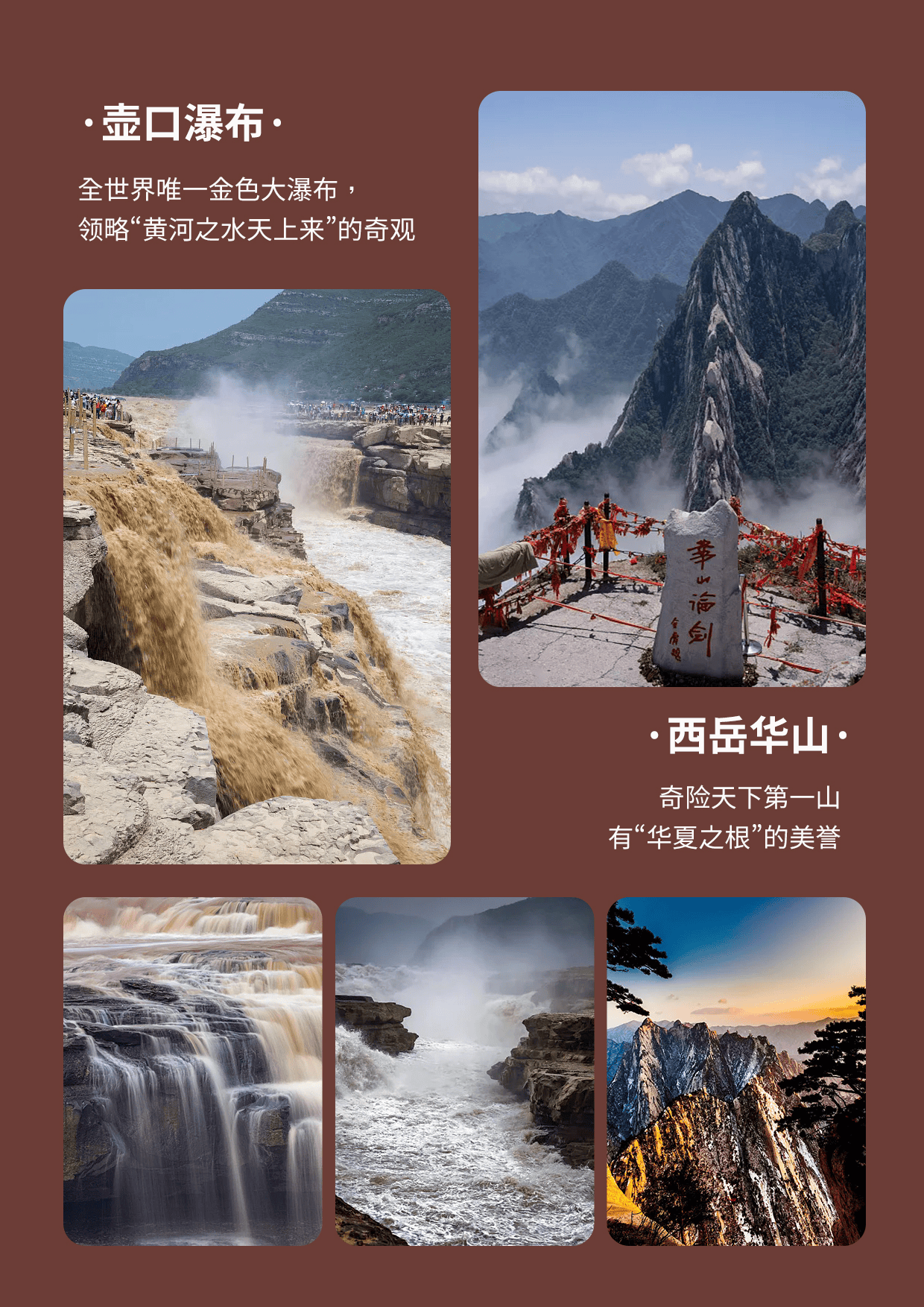 图片23.png