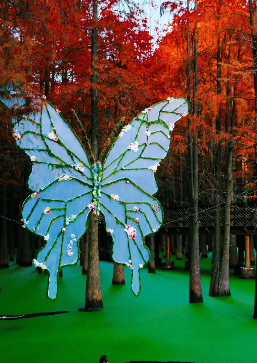ba22439aee585a4934ecbcd8f4010d1b.png