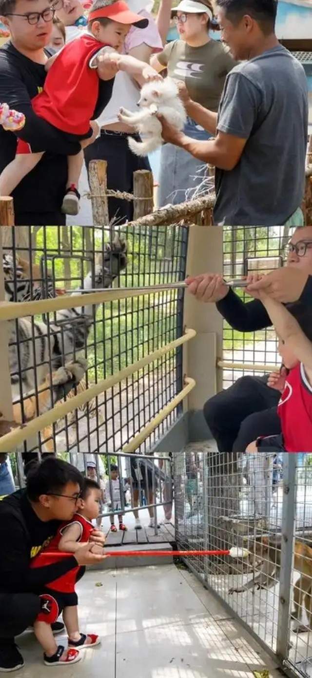 爱游宝|图文编辑更简单