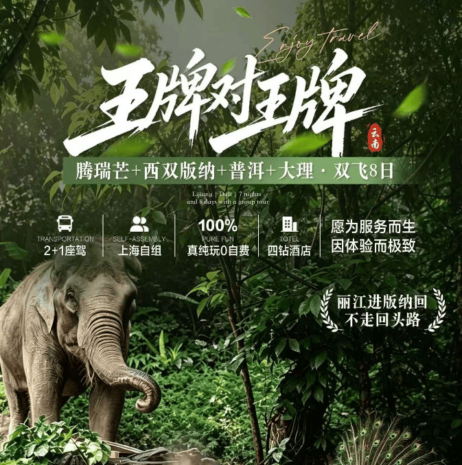 腾瑞芒×普洱版纳双飞8日｜上海自组真纯玩！0购物0车售，违规赔5000元。2+1 豪华大巴+四钻酒店+特色民族宴，一次揽尽银杏、边境、雨林、樱花多重云南风光！