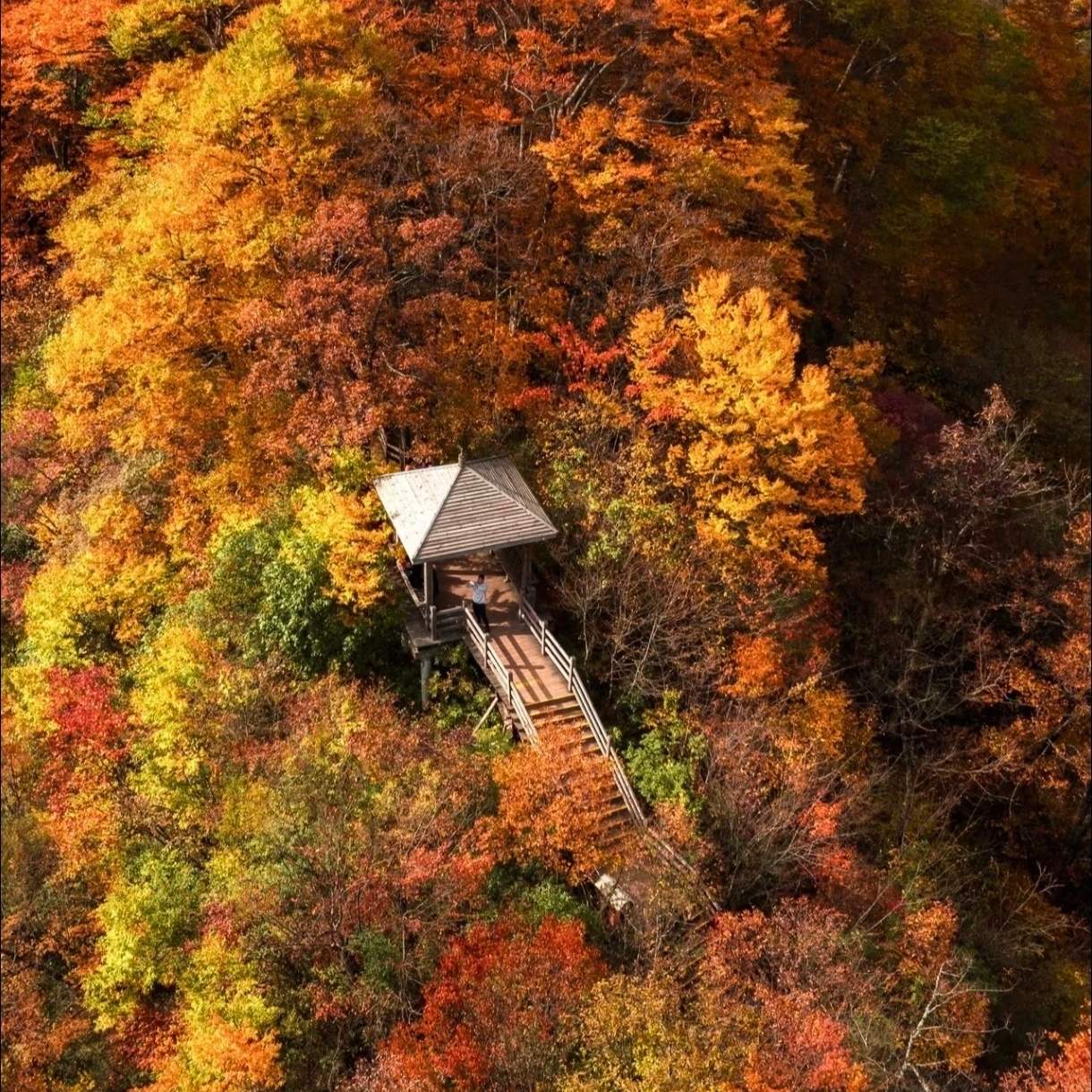 ❤秋染秦岭·醉览万山红❤光雾山环线·核心赏枫景区米仓山·龙头山·汉江三峡·留坝秋色·狮子沟·情人谷·诸葛古镇·武侯祠·双卧8日游