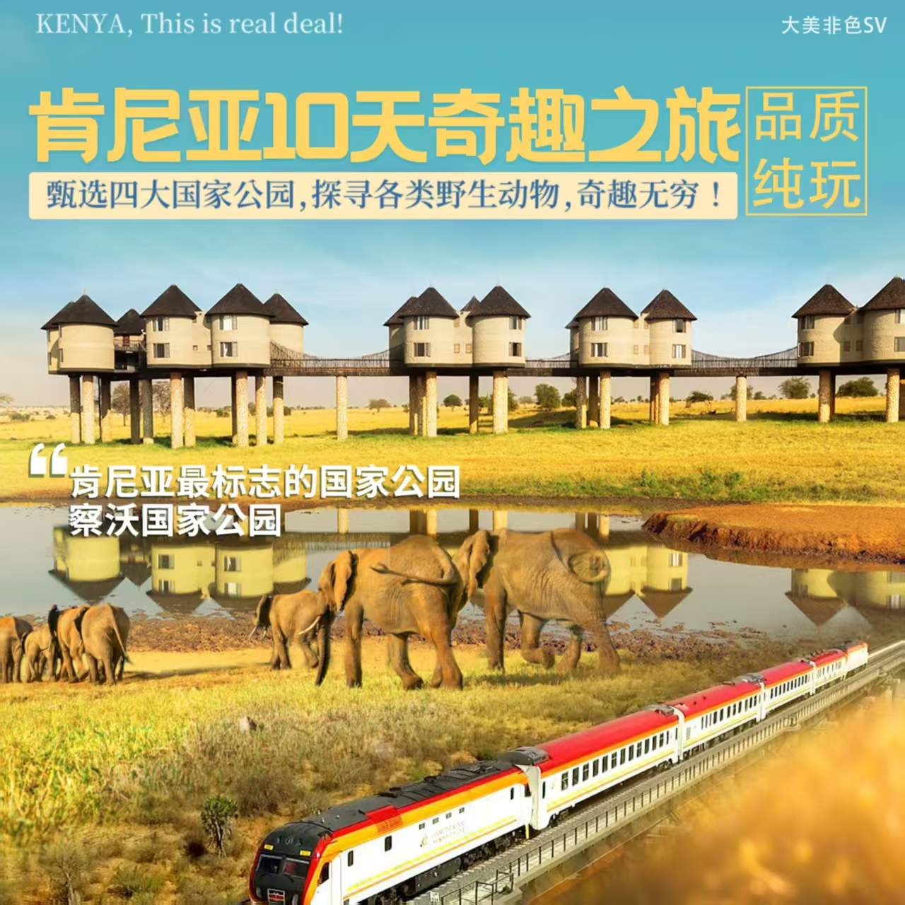肯尼亚10天