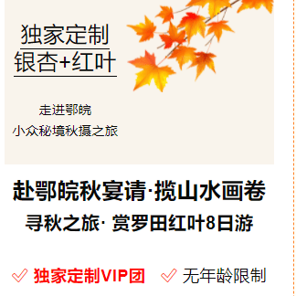 2026年《寻秋之旅丨罗田红叶+随州银杏》双卧8天小众摄影纯玩之旅.2晚5钻+3晚4钻携程酒店 .40餐标