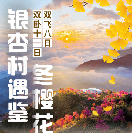 真纯玩【银杏村遇鉴冬樱花】昆明丨大理丨腾冲丨无量山丨诺邓丨双飞8日/双卧11日