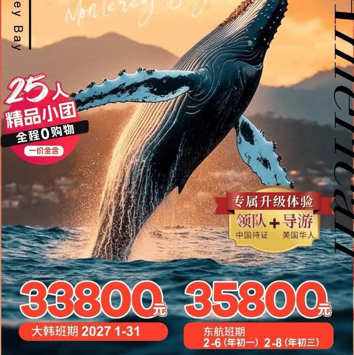 美国西海岸旧金山一号公路国家公园环球影城10日游 4钻(旧进洛出)